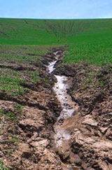 Soil Erosion